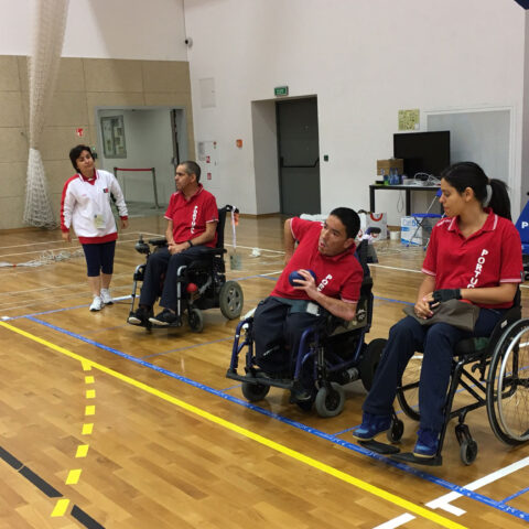 Três medalhas de ouro em Poznan