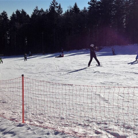 FPDD na Eslovénia no projeto ReSport