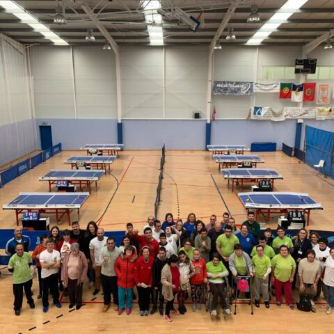 Competição e formação de Polybat concretizadas nos Açores