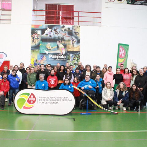 PROJETO (IN)FORMAR E (DES)ENVOLVER PARA INCLUIR — PALMELA